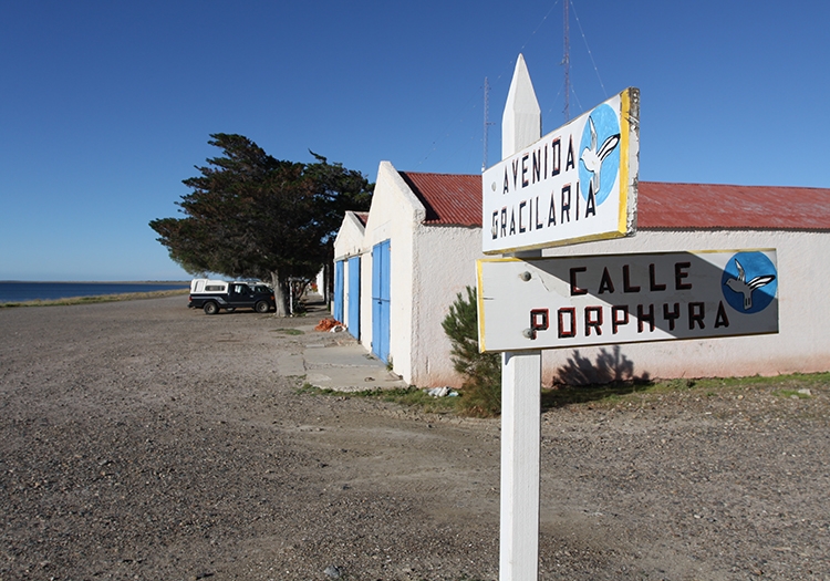 Culture d'algues marine à Bahia Bustamante