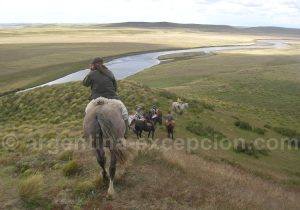Despedida Estancia La Despedida