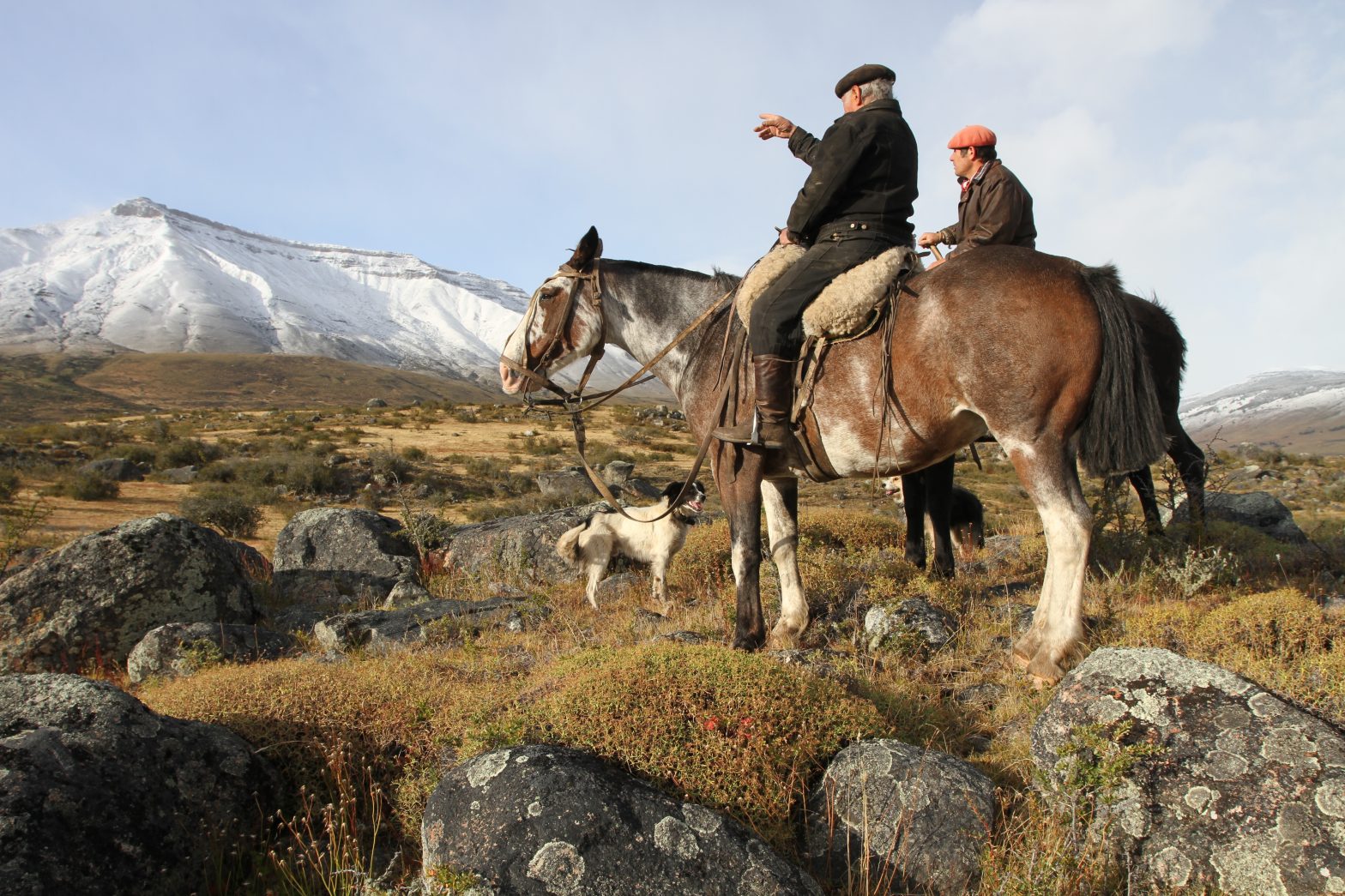 El Calafate - estancia Alta Vista