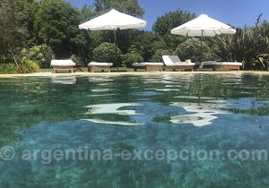 Estancia-Las-Viboras Estancia Las Viboras