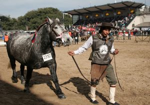 Exposition-La-Rural Gaucho Buenos Aires avec Argentina Excepción