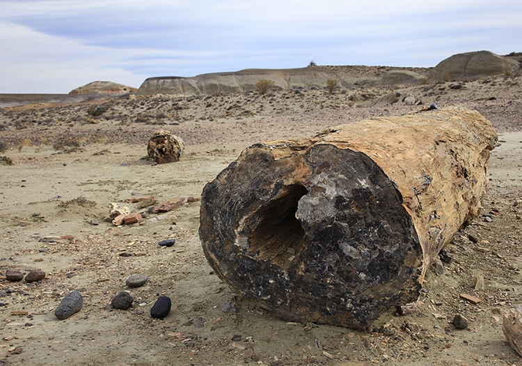 Forêt pétrifiée de Sarmiento Forêt pétrifiée de Sarmiento