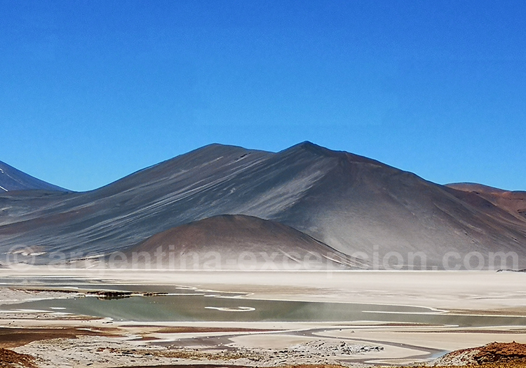Altiplano chilien