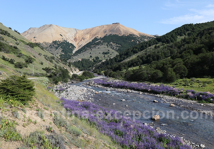 La Route Australe chilienne en Patagonie La Route Australe chilienne en Patagonie