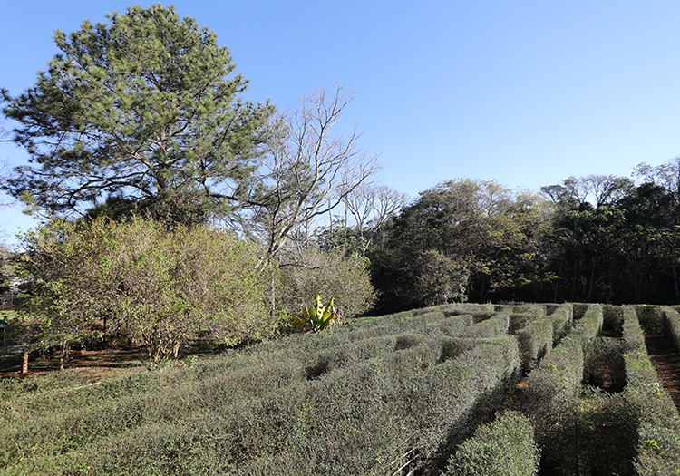 Labyrinthe de Montecarlo
