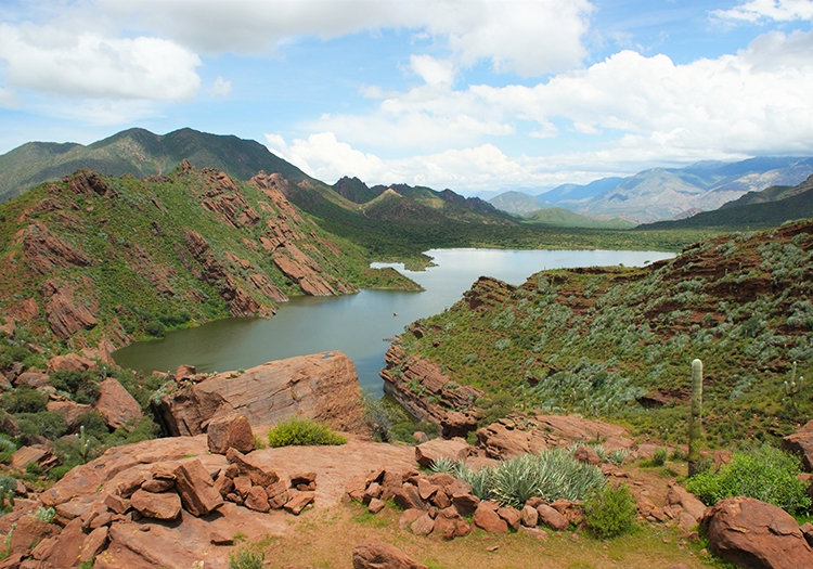 Laguna del Brealito Laguna del Brealito