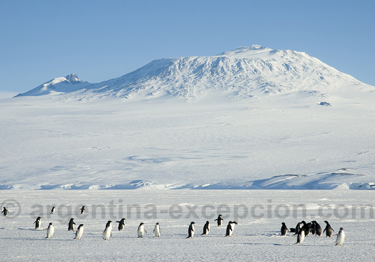 Le climat en Antarctique @ Delphine Aures, Mont Erebus Le climat en Antarctique @ Delphine Aures, Mont Erebus
