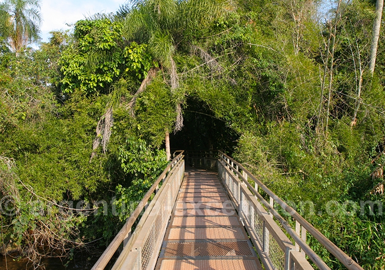 Les sentiers d'Iguaçu Les sentiers d'Iguaçu