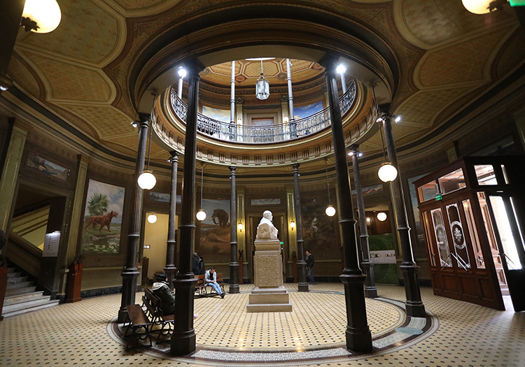 Musée de La Plata Musée de La Plata