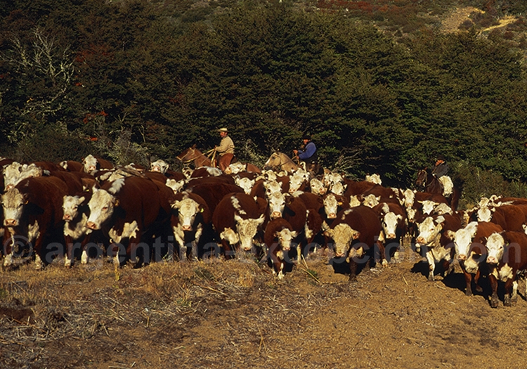 Notre recommandation pour 10 jours en Argentine Notre recommandation pour 10 jours en Argentine