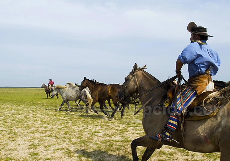 Notre recommandation pour 2 semaines en Argentine Notre recommandation pour 2 semaines en Argentine