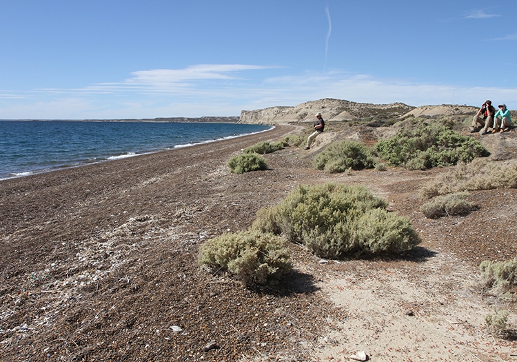 Paysages de Valdès Paysages de Valdès