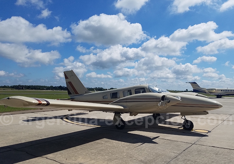 Piper Seneca. Piper Seneca.