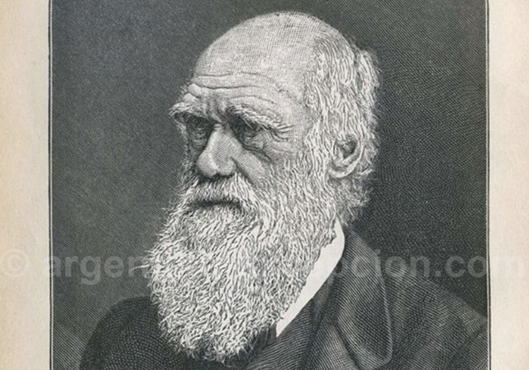 Portrait de Charles Darwin Portrait de Charles Darwin