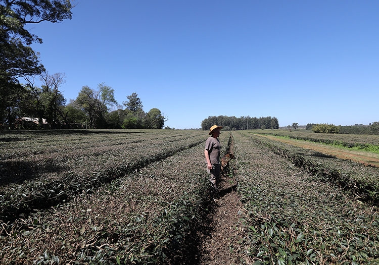 Province de Misiones Province de Misiones