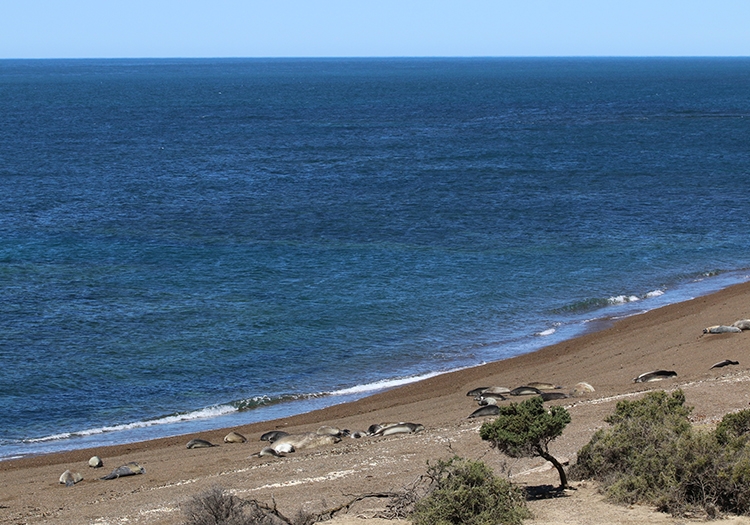 Punta Norte Punta Norte