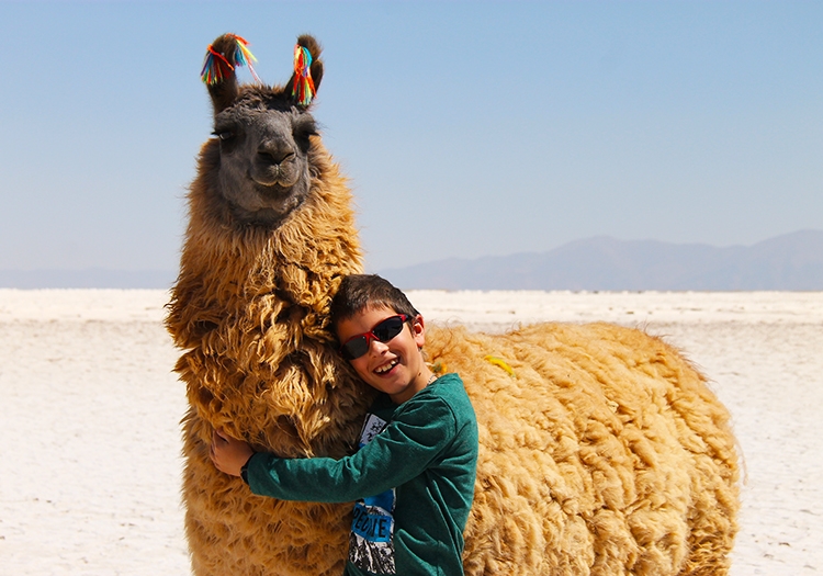 Rando lamas Rando lamas