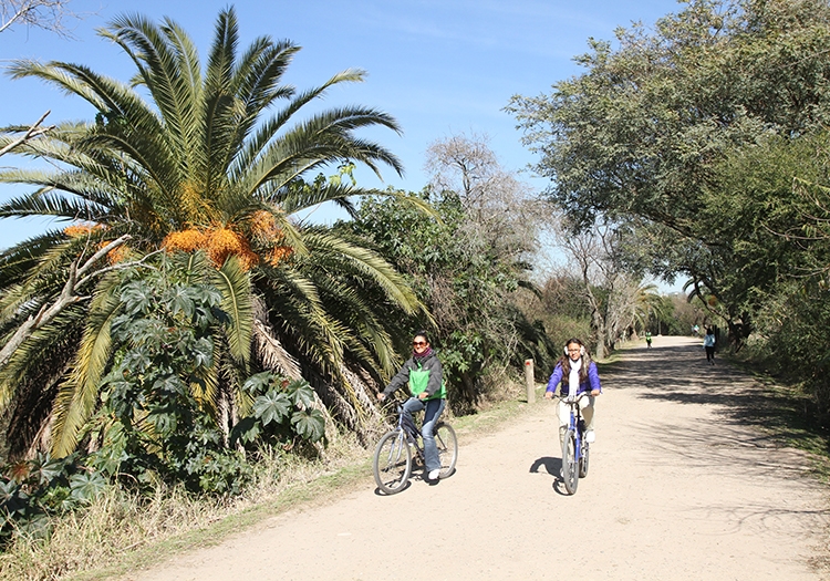 Réserve écologique de Puerto Madero