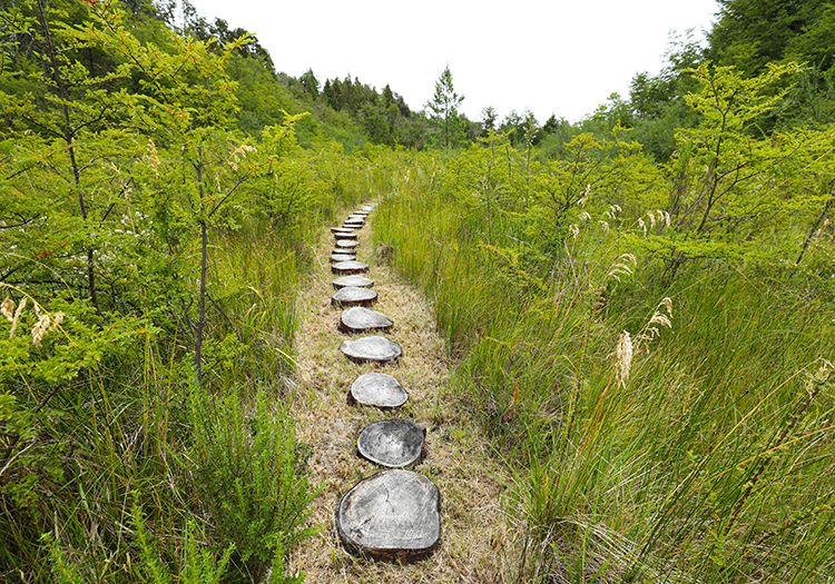 Réserve naturelle Las Balsas, Patagonie Réserve naturelle Las Balsas, Patagonie