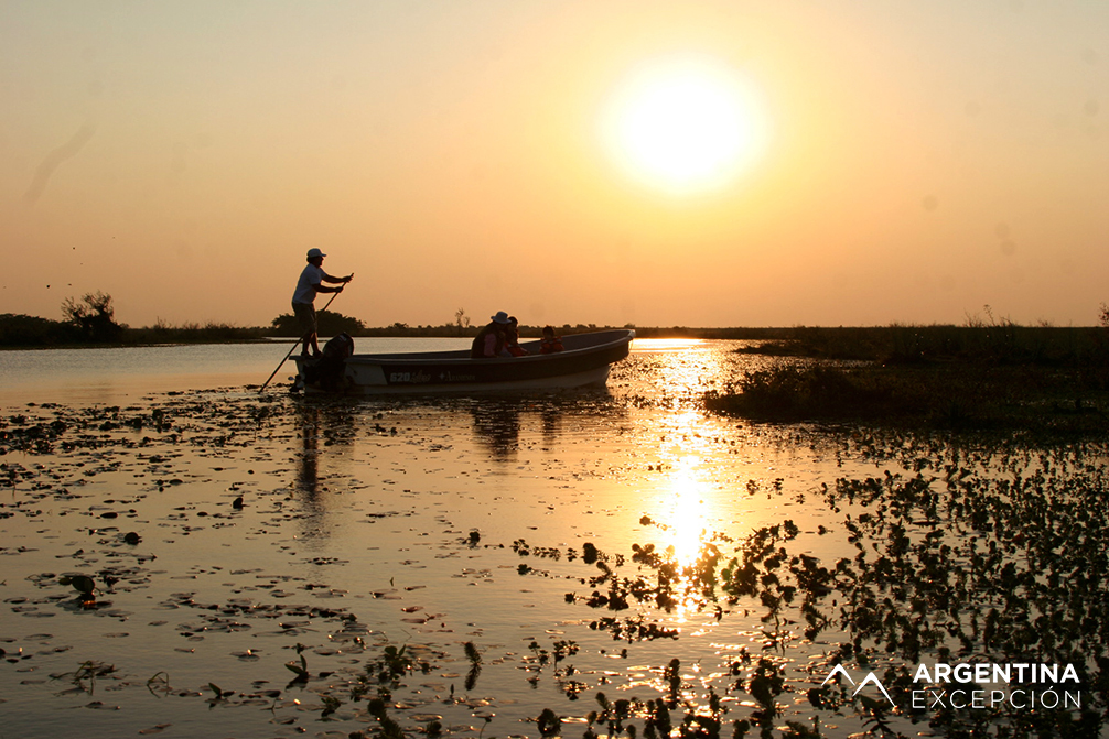 Safari laguna (45) XX copy