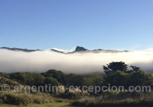 Hotel Dos Lunas Hotel Dos Lunas