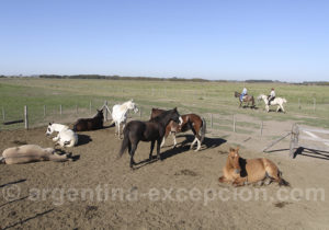 Sin título-2-Recuperado