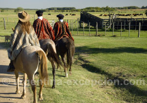 Sin título-4-Recuperado