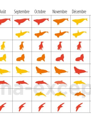 Tableau faune de Valdés