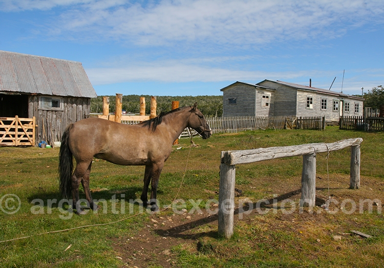 Ushuaia, 17h17 de jour le 21 décembre Ushuaia, 17h17 de jour le 21 décembre