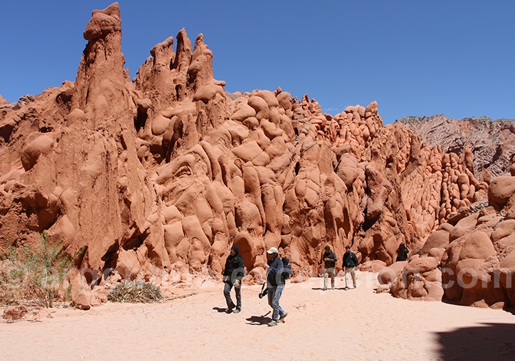 Visite du Nord de l'Argentine Visite du Nord de l'Argentine