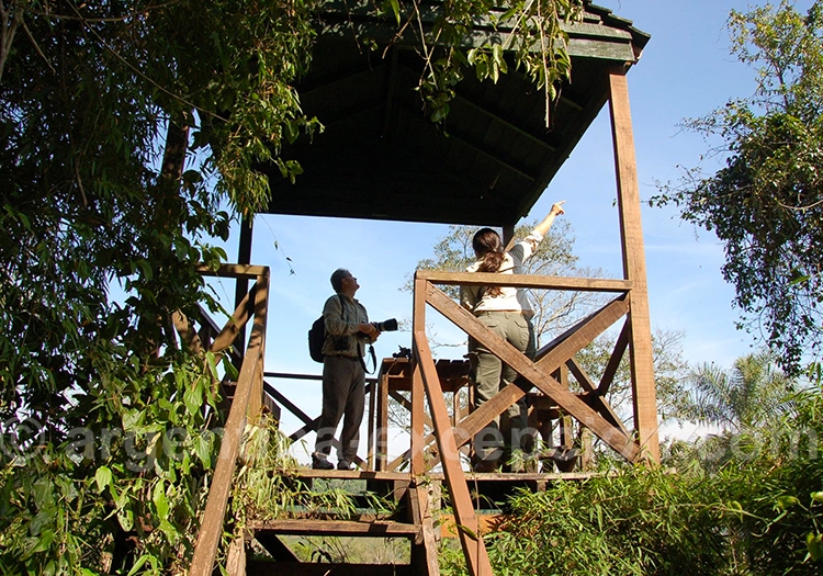 Voyage dans le Nord de l'Argentine Voyage dans le Nord de l'Argentine
