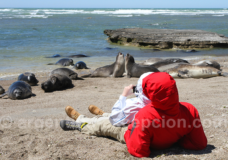 Voyage de noces sur la péninsule Valdès Voyage de noces sur la péninsule Valdès