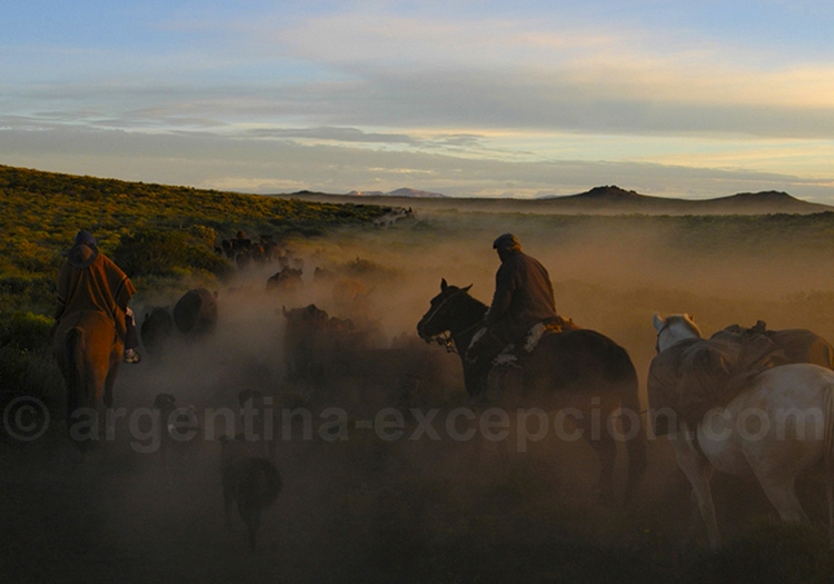 Voyages thématiques en Argentine Voyages thématiques en Argentine
