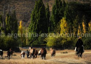 alta-vista21 Panorama, Hostería Alta Vista