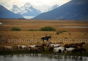 alta-vista61 Gaucho, Hostería Alta Vista