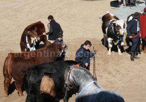 campo-argentine-rural Campo, Argentine, La Rural avec Argentina Excepción