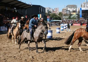 demonstration-equestre-buenos-aires Démonstration équestre, Buenos Aires avec Argentina Excepción