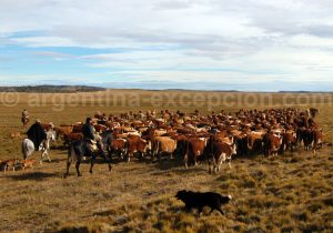 despedida6 Estancia La Despedida