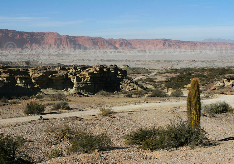 Excursion la Vallée de la Lune, Argentine