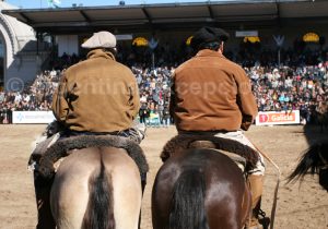 gauchos-pampa-rural Gauchos, Pampa, La Rural avec Argentina Excepción