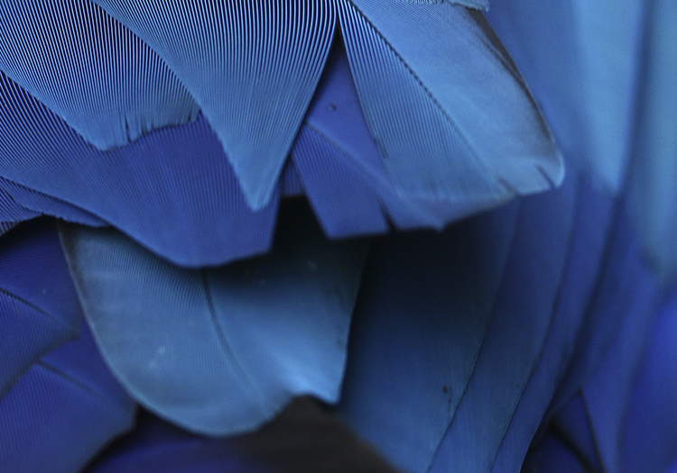 Home couleurs d'argentine Home couleurs d'argentine