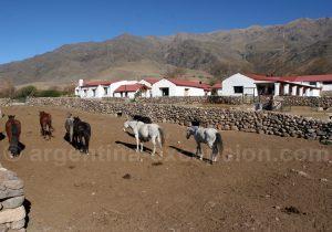 las-carreras-4 Estancia Las Carreras