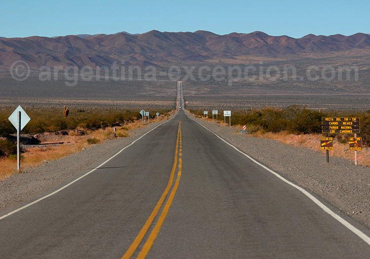 Recta de Tin Tin dans le parc los Cardones Recta de Tin Tin dans le parc los Cardones