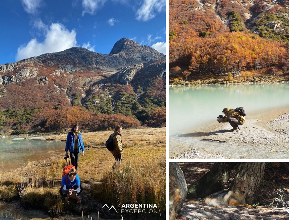 Excursion Terre de Feu Excursion Terre de Feu