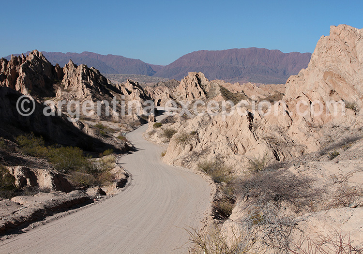 La route 40 dans la vallée des Calchaquies La route 40 dans la vallée des Calchaquies