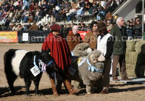 salon-agriculture-rural Salon de l'agriculture, La Rural avec Argentina Excepción