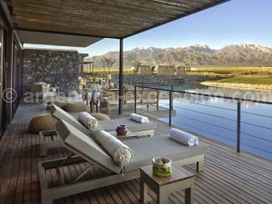 the-vines1 The Vines of Mendoza