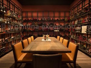 the-vines3 The Vines of Mendoza