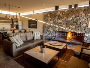 the-vines4 The Vines of Mendoza