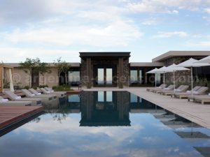 the-vines5 The Vines of Mendoza